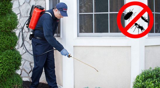 Mudanya Dezenfeksiyon böcek ilaçlama ve haşere kontrolü — ilaclama-tr.com
